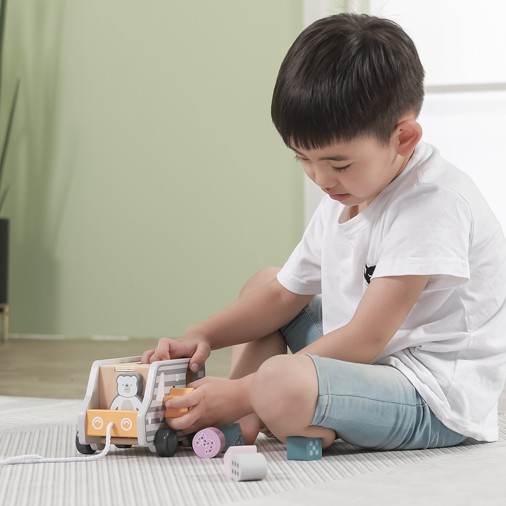Viga Toys PolarB Camion de Tri de Formes à Tirer 24M+