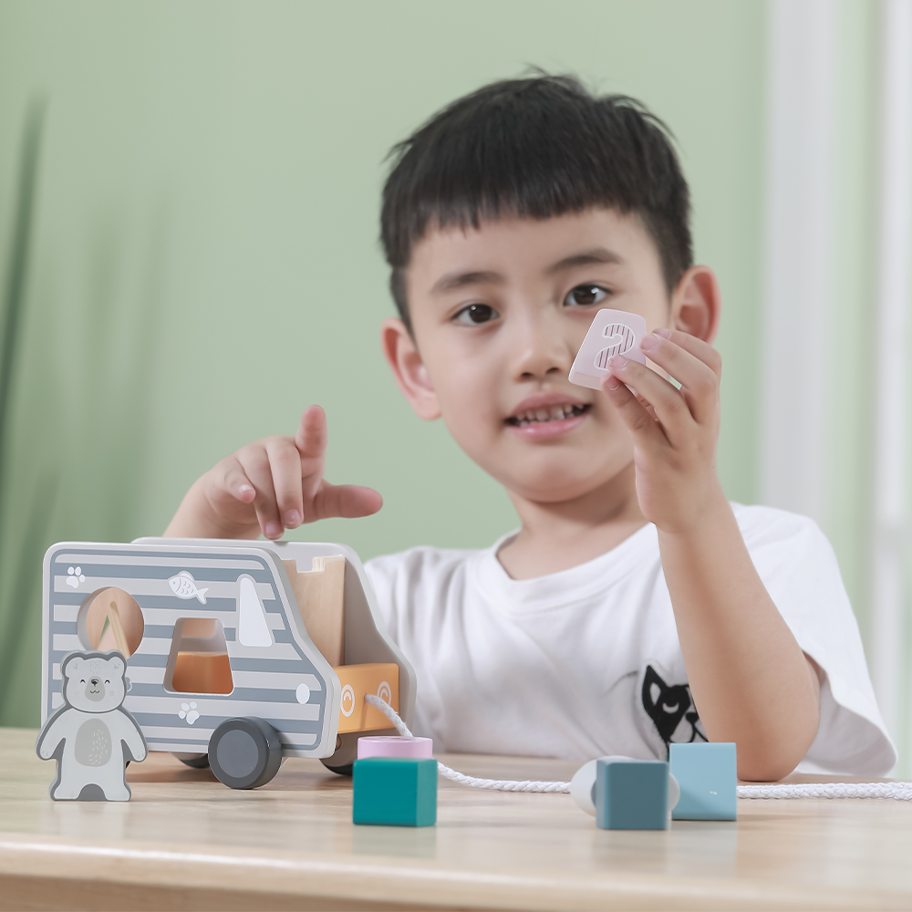 Viga Toys PolarB Camion de Tri de Formes à Tirer 24M+