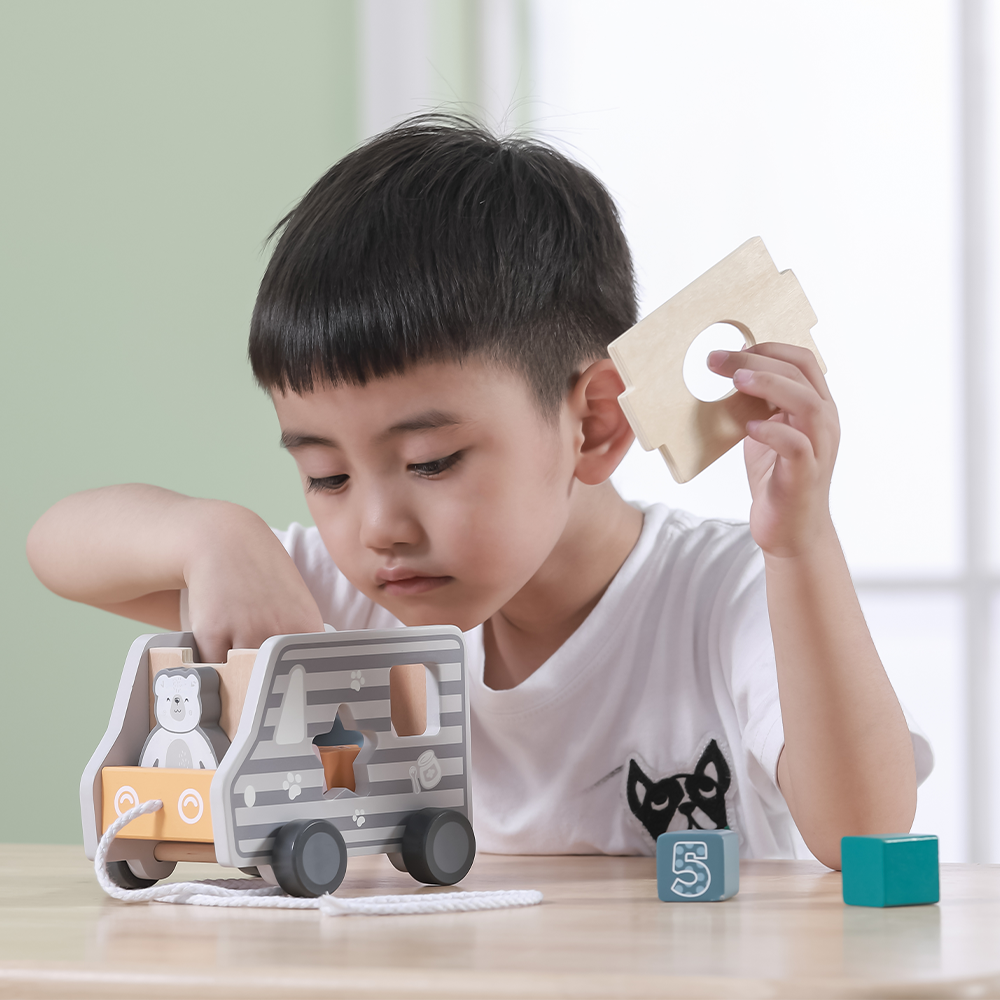 Viga Toys PolarB Camion de Tri de Formes à Tirer 24M+