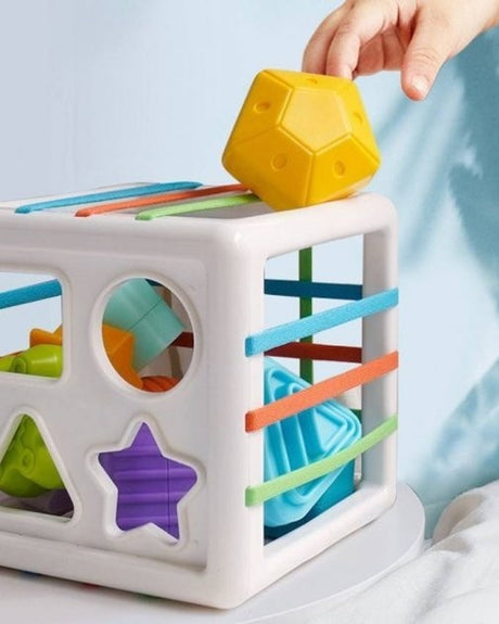 Huanger Shape Sorter with Elastic Bands 18M+