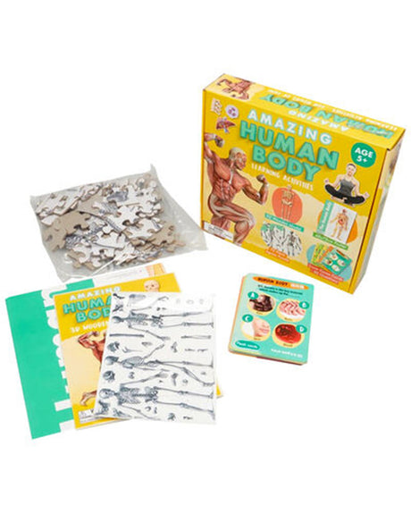 Amazing Human Body Activity Set