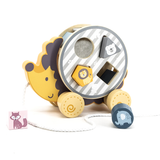 Viga Toys PolarB Trieur en Bois avec Roue 24M+