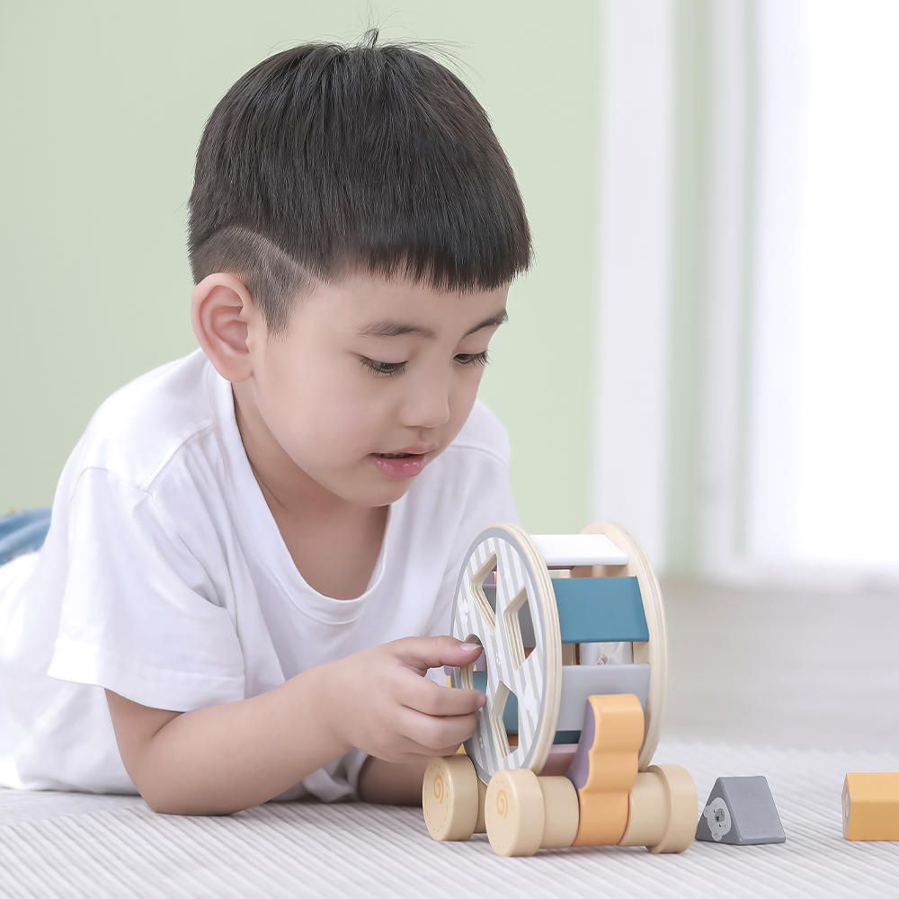 Viga Toys PolarB Trieur en Bois avec Roue 24M+