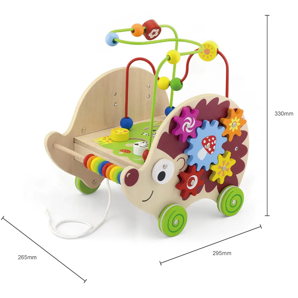 Viga Toys Hérisson D'activité à Tirer 4 En 1 12M+