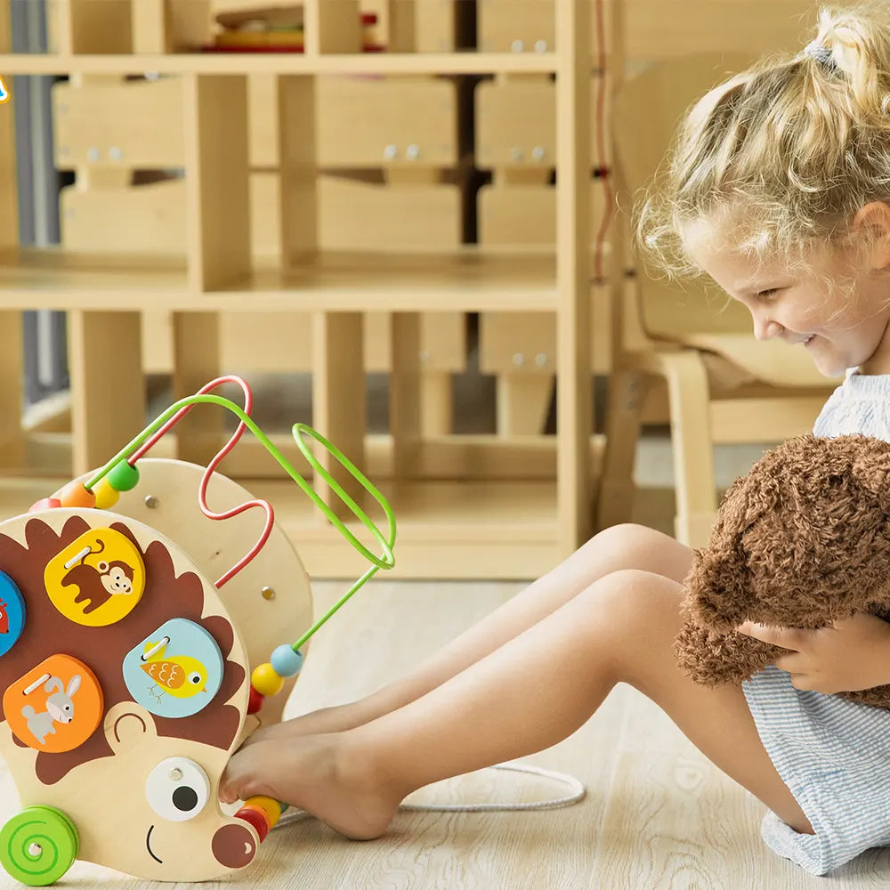 Viga Toys Hérisson D'activité à Tirer 4 En 1 12M+