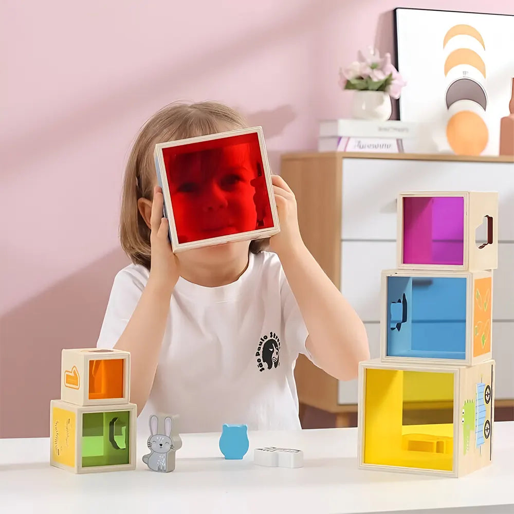 Viga Toys Blocs à Emboîter & à Empiler 18M+